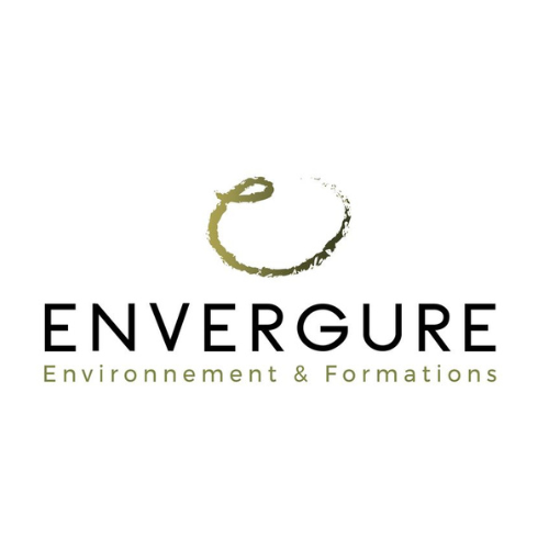 Envergure