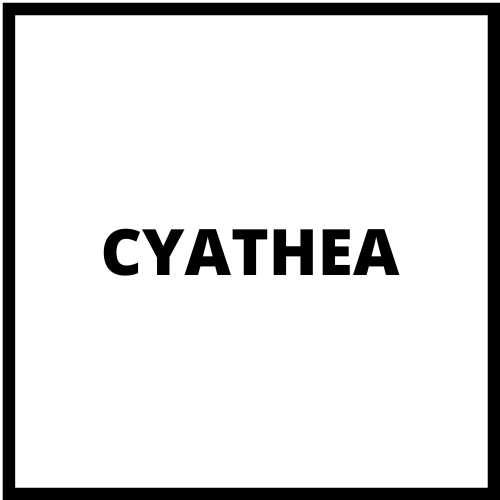 CYATHEA